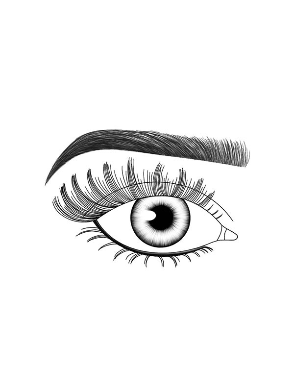 Lash Fx Press and Go, Palma - Image 3