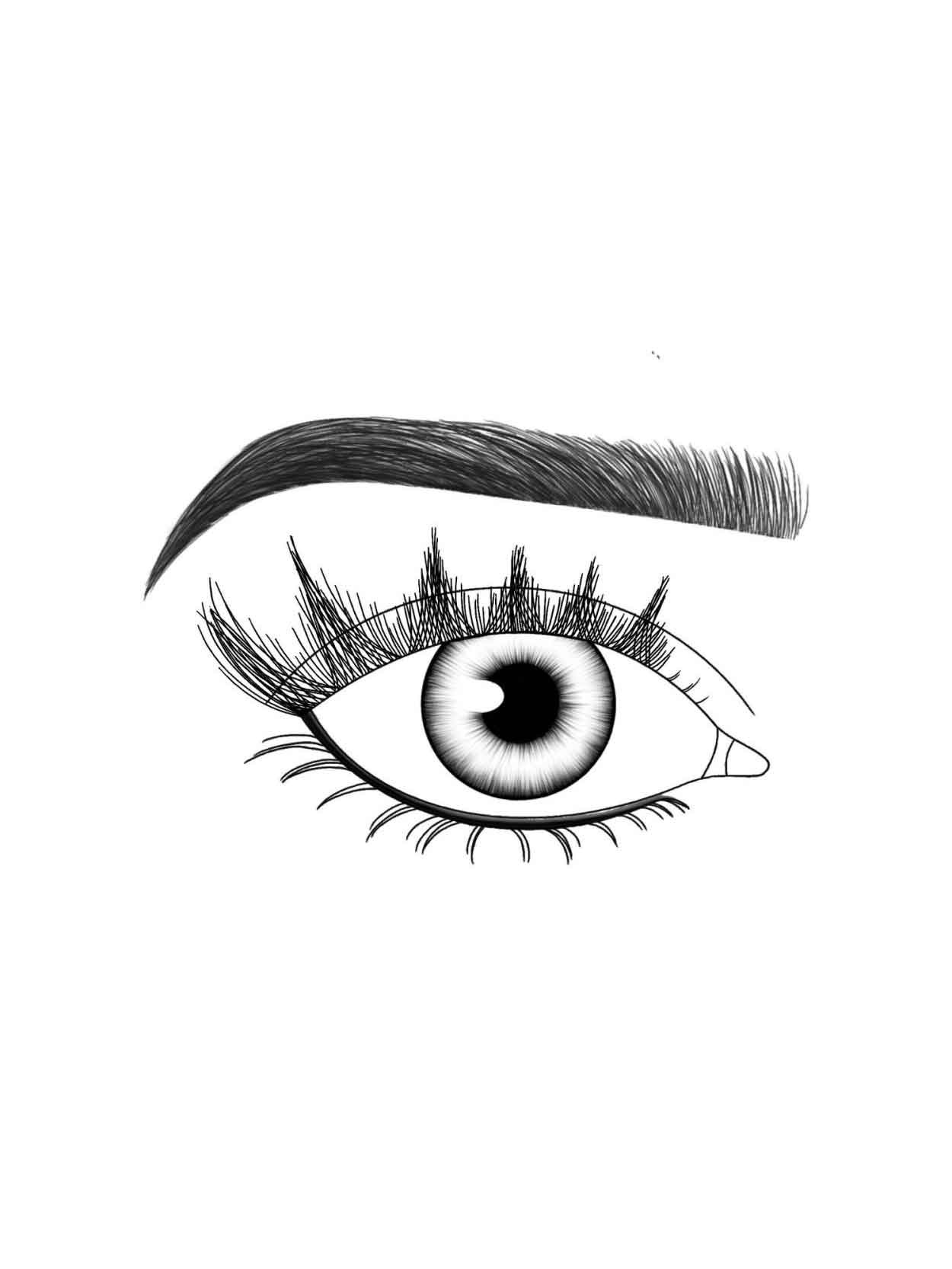 Lash Fx Press and Go, Paris - Image 3