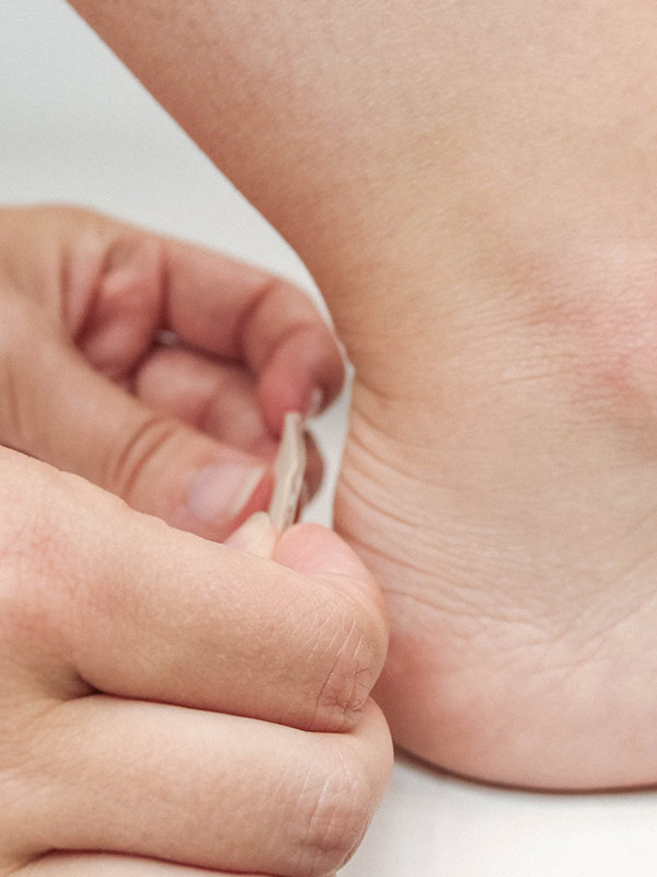 Geelikevennysarkki, kangaspäällysteinen - Image 6