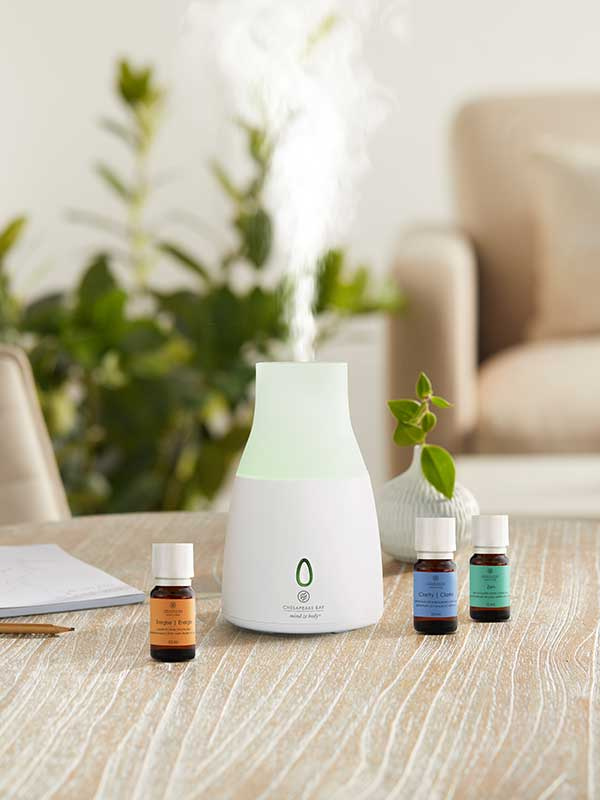 Chesapeake ENERGISE tuoksuöljy diffuuseriin 10 ml - Image 2