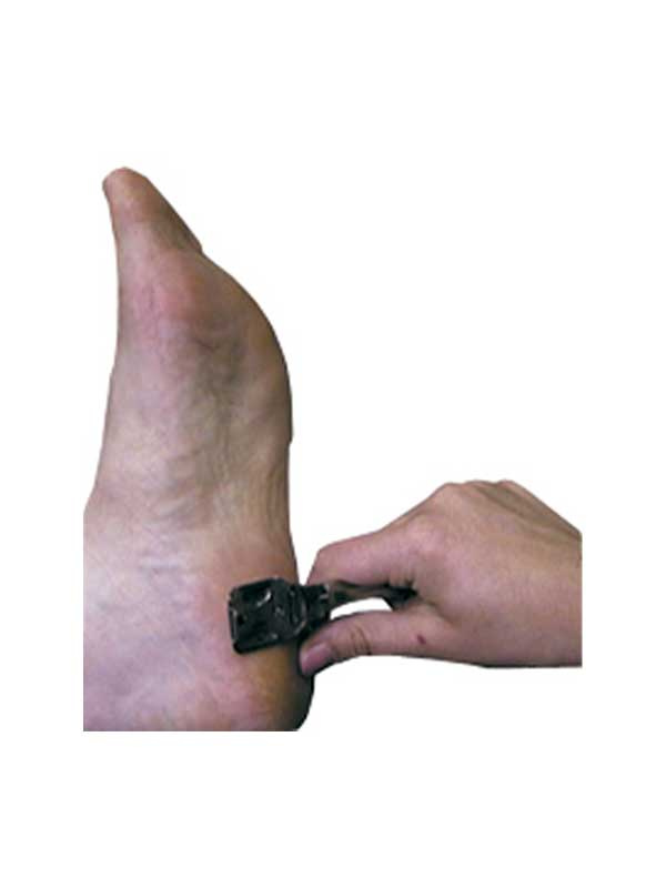 Credo -höylä, anatominen - Image 2