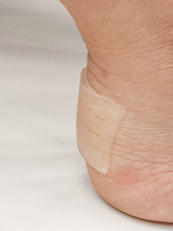 Geelikevennysarkki - Image 6