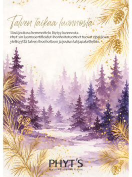 Phyt's juliste Talven taikaa 50 x 70 cm